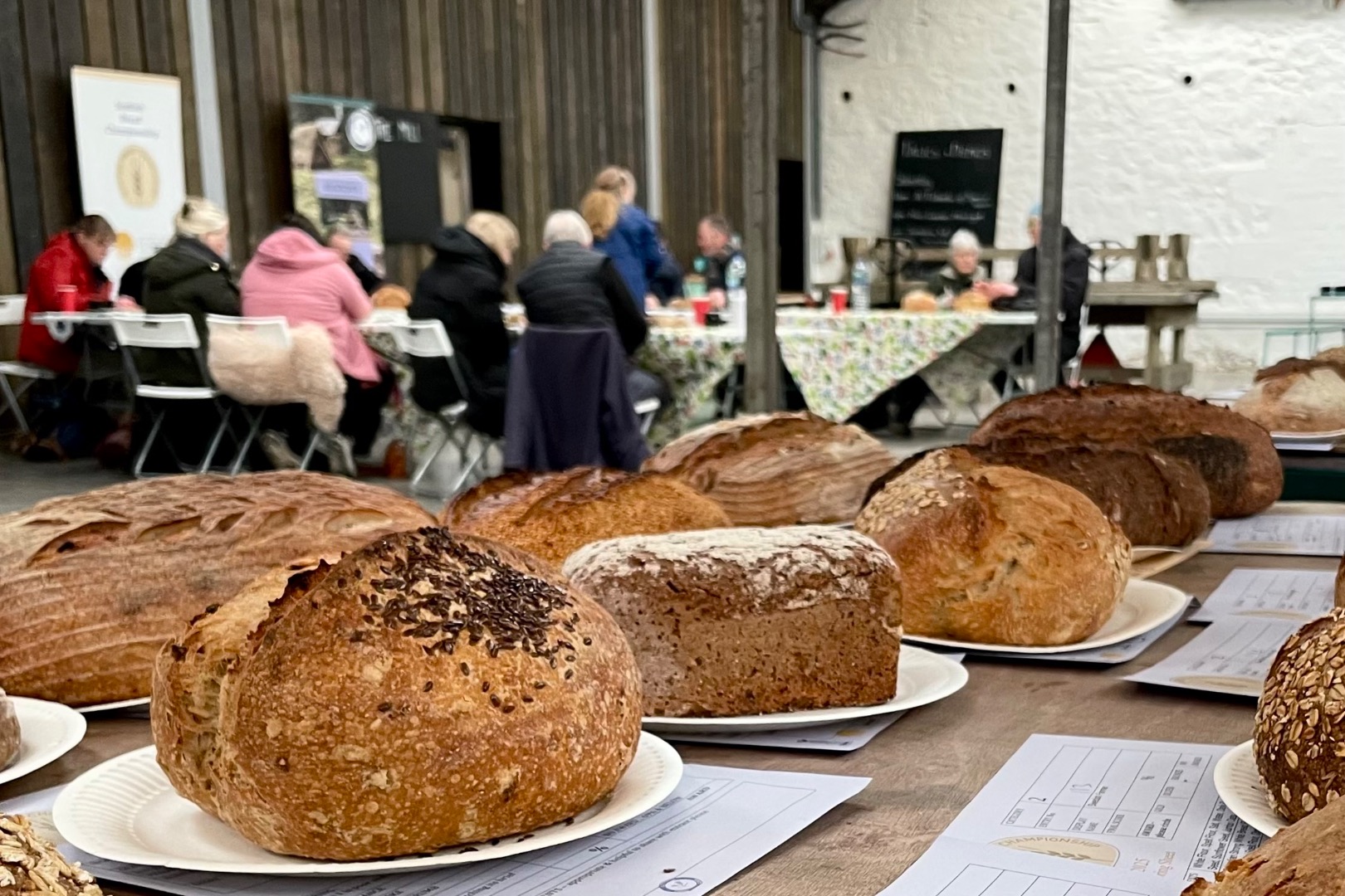 Judgement Day - 2025 Scottish Bread Championship